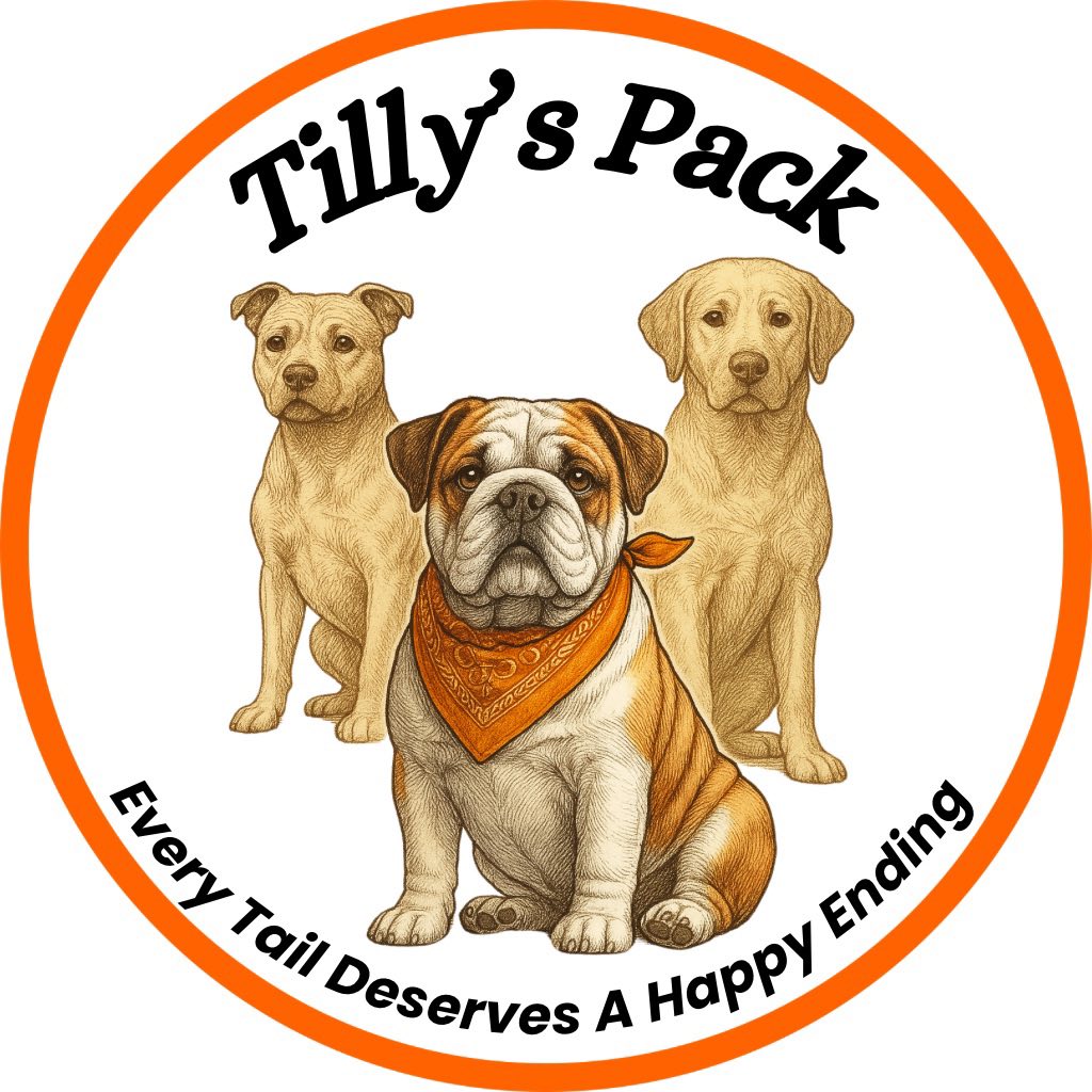 Tilly's Pack