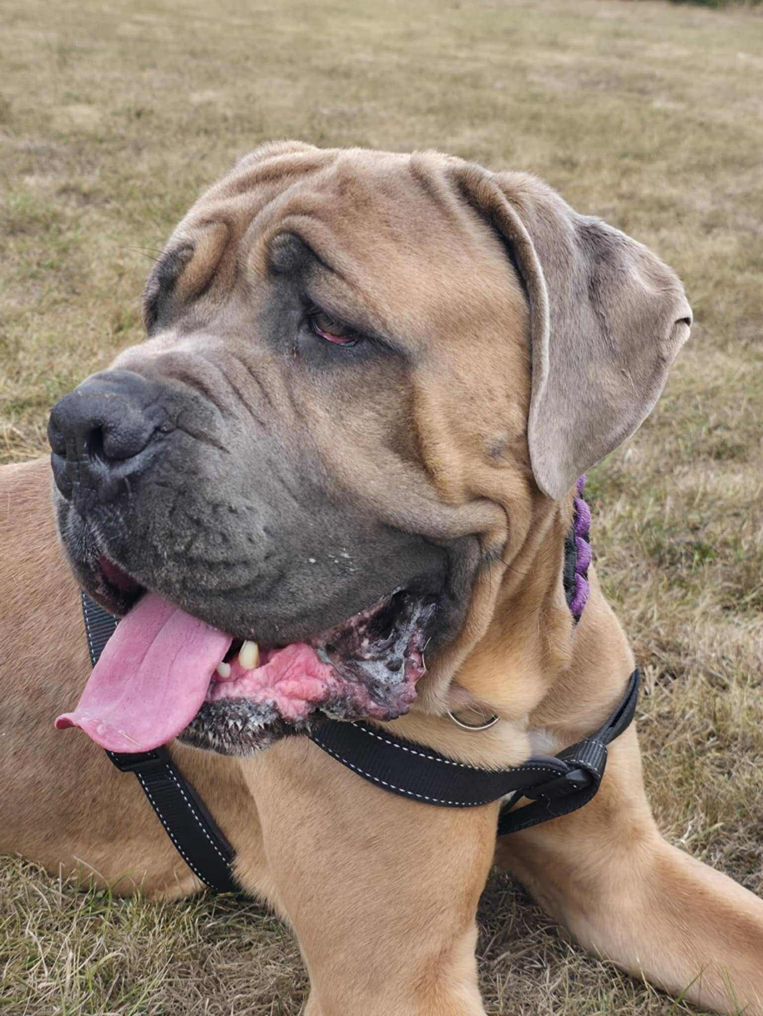 Tilly's Pack - Kindness