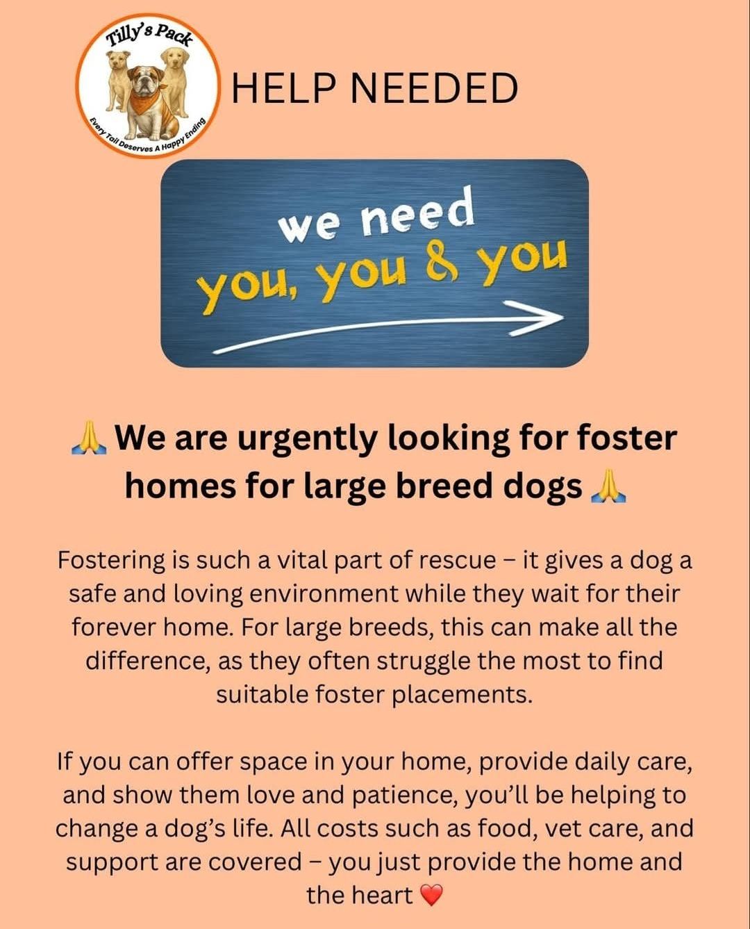 Tilly's Pack - Volunteer